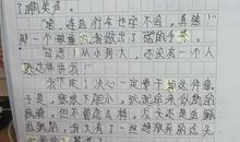 我得到了锻炼作文400字