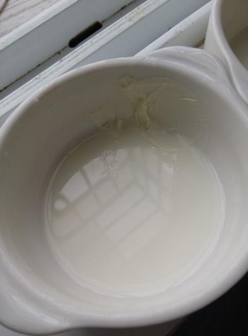 爱藏在碗底