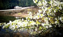 离别前美丽的春天