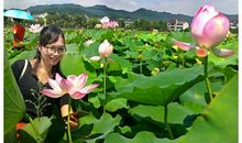 收获一路的幸福