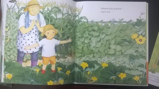 奶奶的菜园
