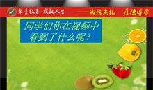 我家的菜篮子工程