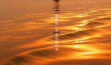 青春跑得太仓促