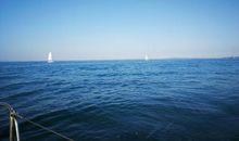 风景就在细微处