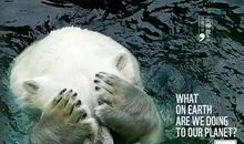 震撼心灵的沉寂