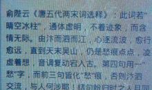 我发现了美作文500字