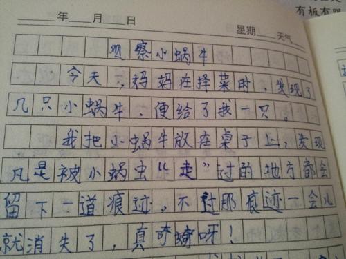 未来的构图机
