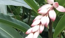 压力也是一种养料