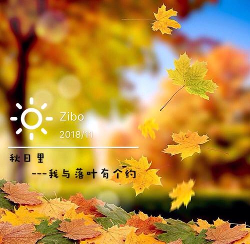 童年的叶子