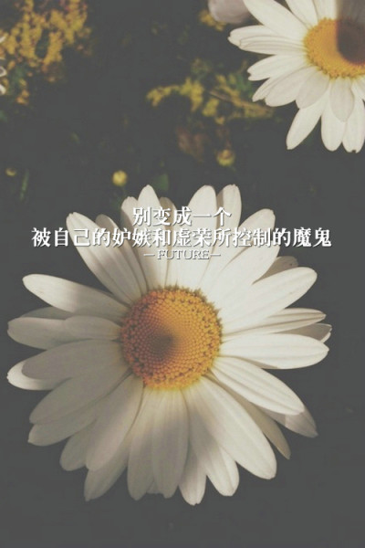收集生活的美好