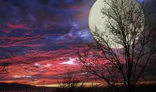 杏花春雨中的思念