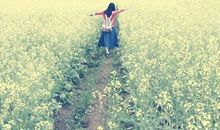 风轻云淡，想念你的样子