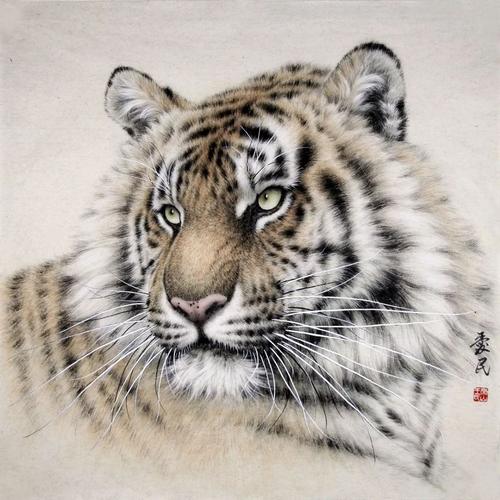 遇到“老虎”老师