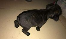 垃圾桶“饿”坏了