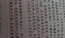 我和陈明是好朋友续写