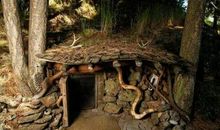 奇妙的山洞之旅