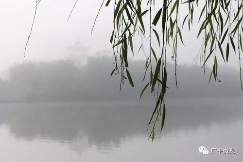雨中的东湖