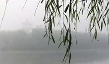 雨中游东湖