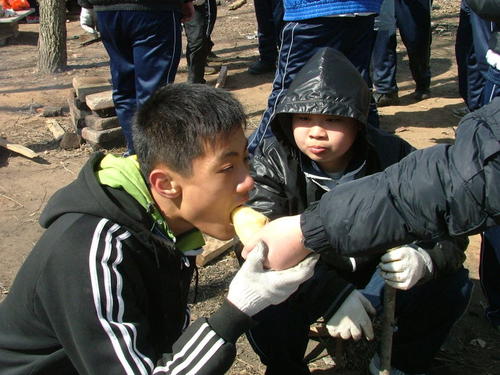 难忘的学校和农场生活