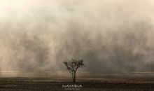 沙粒星球读后感