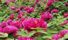 千姿万态的眼神