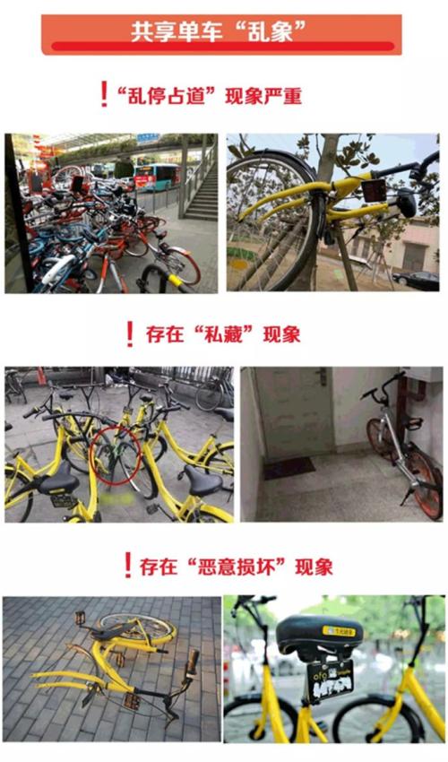 我眼中的共享单车
