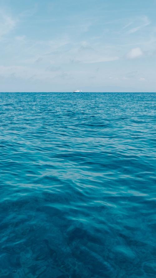 海洋