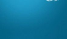 我真想飞去天空