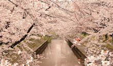 留点诗意给自己