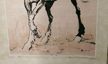 年画、马、神驹