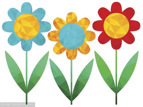 品尝一朵花