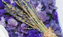 读《天使的花房》有感