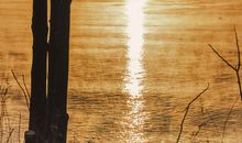 一缕温暖的阳光