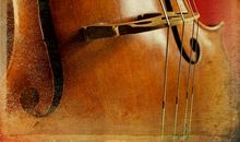 读低音提琴有感