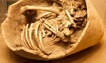 我在百耕园的发现