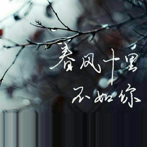 十英里的春风，不如你