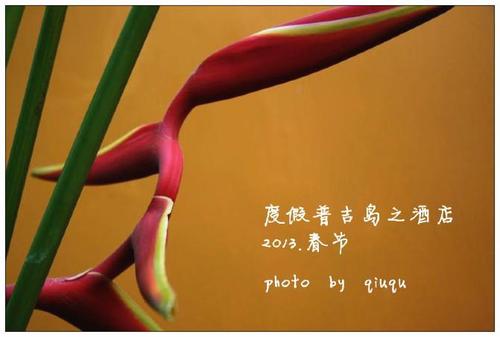 那天我深情
