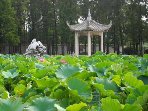 美丽的角山公园