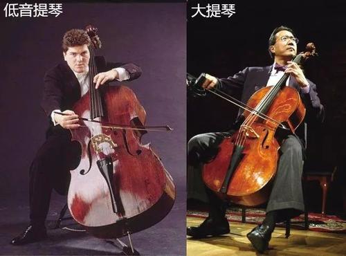 看完低音提琴之后