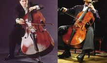 读低音提琴后感