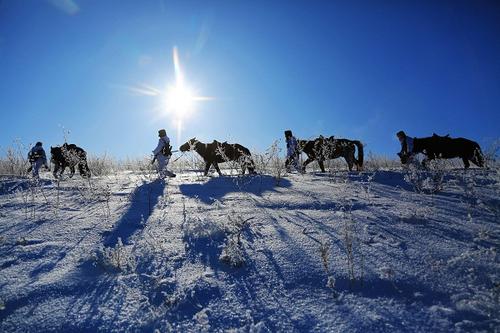 暴风雪