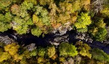 秋日最是放歌时