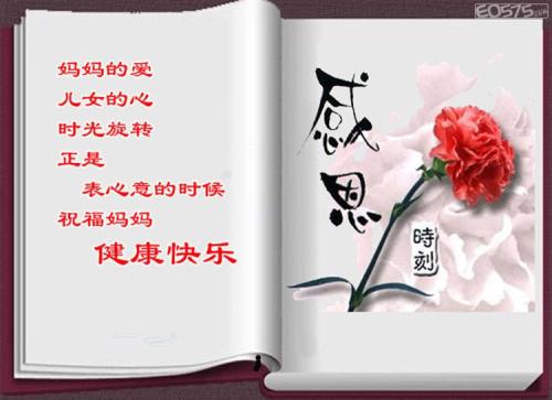 感恩之花盛开在风景如画的道路上