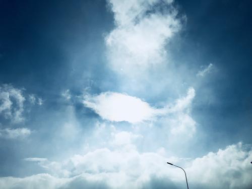 我的天空需要你