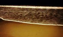 记忆中的一朵小浪花