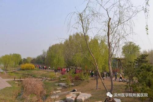 野河旁的快乐时光