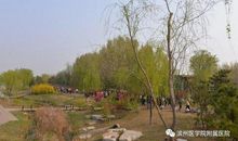 野河畔旁的快乐时光