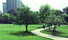 外婆的“空中花园”