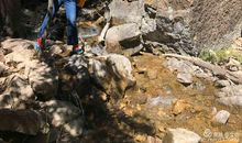 小溪流水清如影