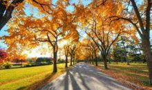 色彩缤纷的秋天